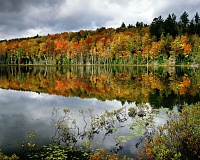 برای دیدن سایز بزرگ روی عکس کلیک کنید

نام: Doostiha.IR - Beautiful Autumn Wallpapers (10).jpg
مشاهده: 8
حجم: 615.3 کیلو بایت